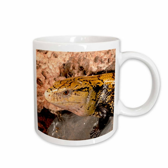 3drose, Irian Jaya Blue Tongue Skink, Lizard, Irian Jaya - Na02 Dno0872 - David Northcott, 11oz Mug