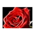 thumbnail image 1 of DIY 5D Diamante Pintura Cruz Punta Manualides Flor Rosa Sunnimix Pintura de diamante 5D, 1 of 7