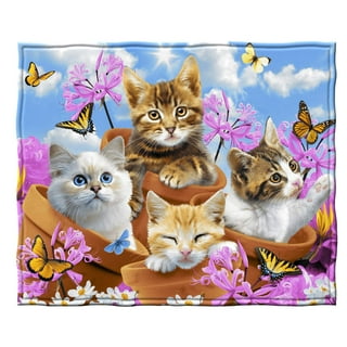 Kitten blanket clearance