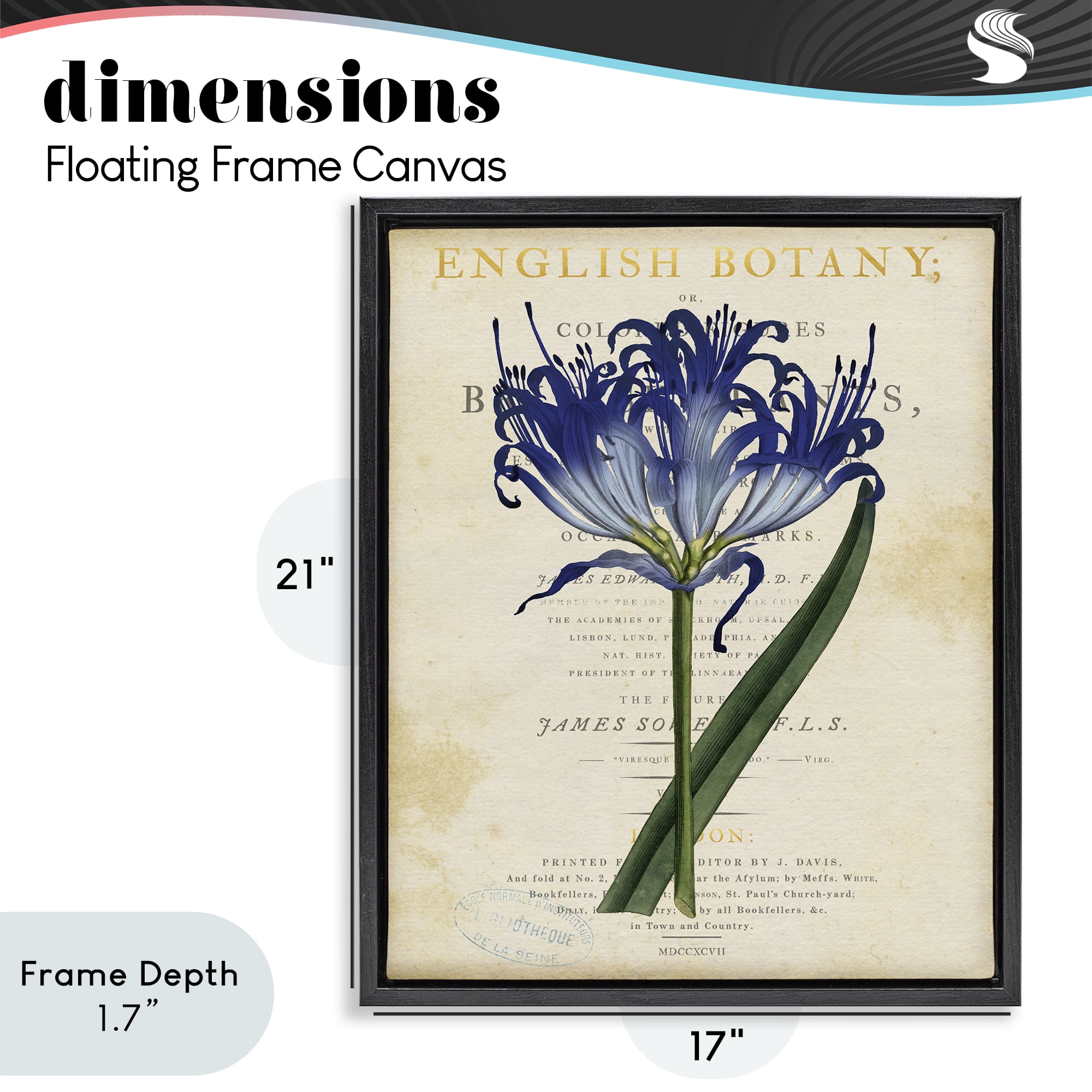 Stupell Industries English Botany Blue Floral Black Framed Floater Canvas Wall Art, design by Susan Arnot