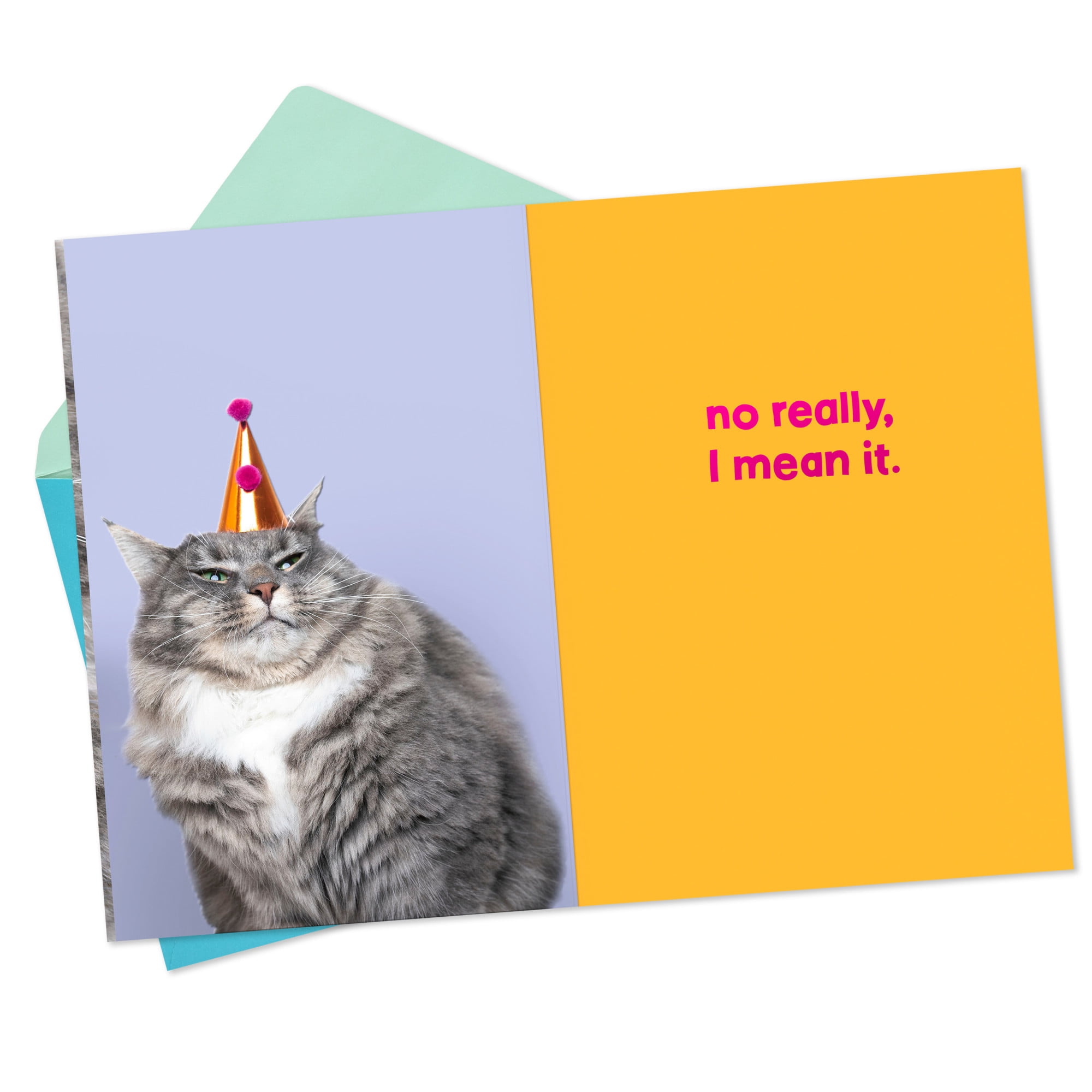 Hallmark Funny Birthday Card (Grouchy Cat)