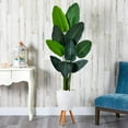 thumbnail image 6 of Nearly Natural 6ft. Travelers Palm Artificial Tree in White Planter with Stand, 6 of 6