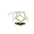 thumbnail image 3 of WGV Medium Gold Prism Dodecahedron Geometric Glass Terrarium - 9" Wide x 7.5" Height, Good quality Terrarium - 1 Pc, 3 of 5