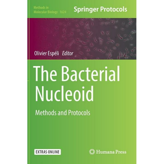 Methods in Molecular Biology The Bacterial Nucleoid: Methods and Protocols, Book 1624, (Hardcover)