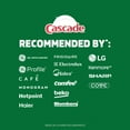thumbnail image 4 of Cascade Platinum Plus Dishwasher Pods, Dish Detergent ActionPacs, Fresh 21CT, 4 of 7