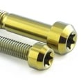 thumbnail image 5 of Titanium Pillion Footrest Hanger Bolt Kit Torx Drive (TIPREST460), 5 of 6