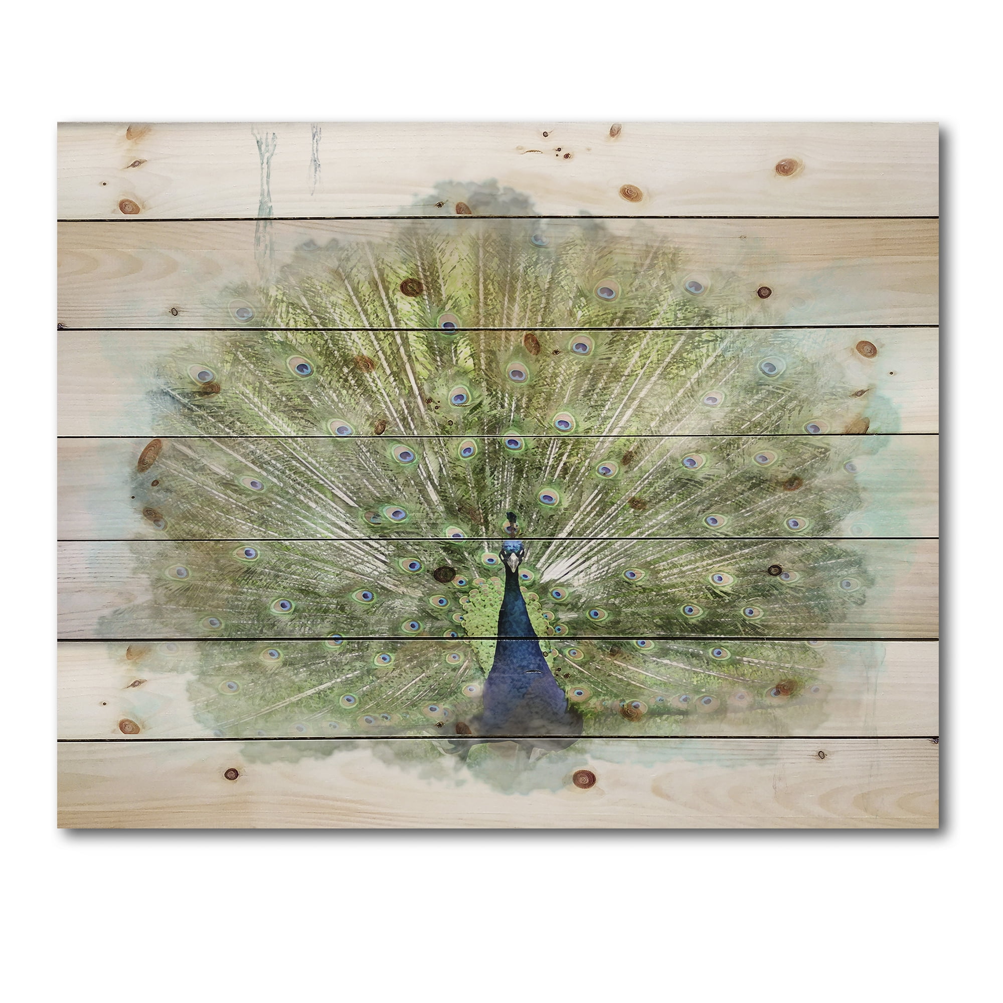 Designart 'Dancing Peacock Bird' Traditional Print on Natural Pine Wood