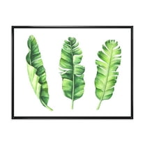 Designart 'Tropical Banana Leaves Set On White' Farmhouse Framed Canvas Wall Art Print