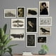 thumbnail image 2 of Moody-Conjunto de pared de galería de Halloween, impresiones de gato negro, pintura en lienzo, póster Vintage, búho, murciélago, imágenes de pared, decoración de la Academia oscura, 2 of 4