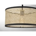 thumbnail image 5 of Trade Winds Remy 1-Light Pendant in Natural Cane with Matte Black, 5 of 5