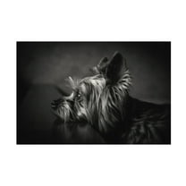 Krisztina Lacz 'I Have Been Waiting For You ...' Canvas Art