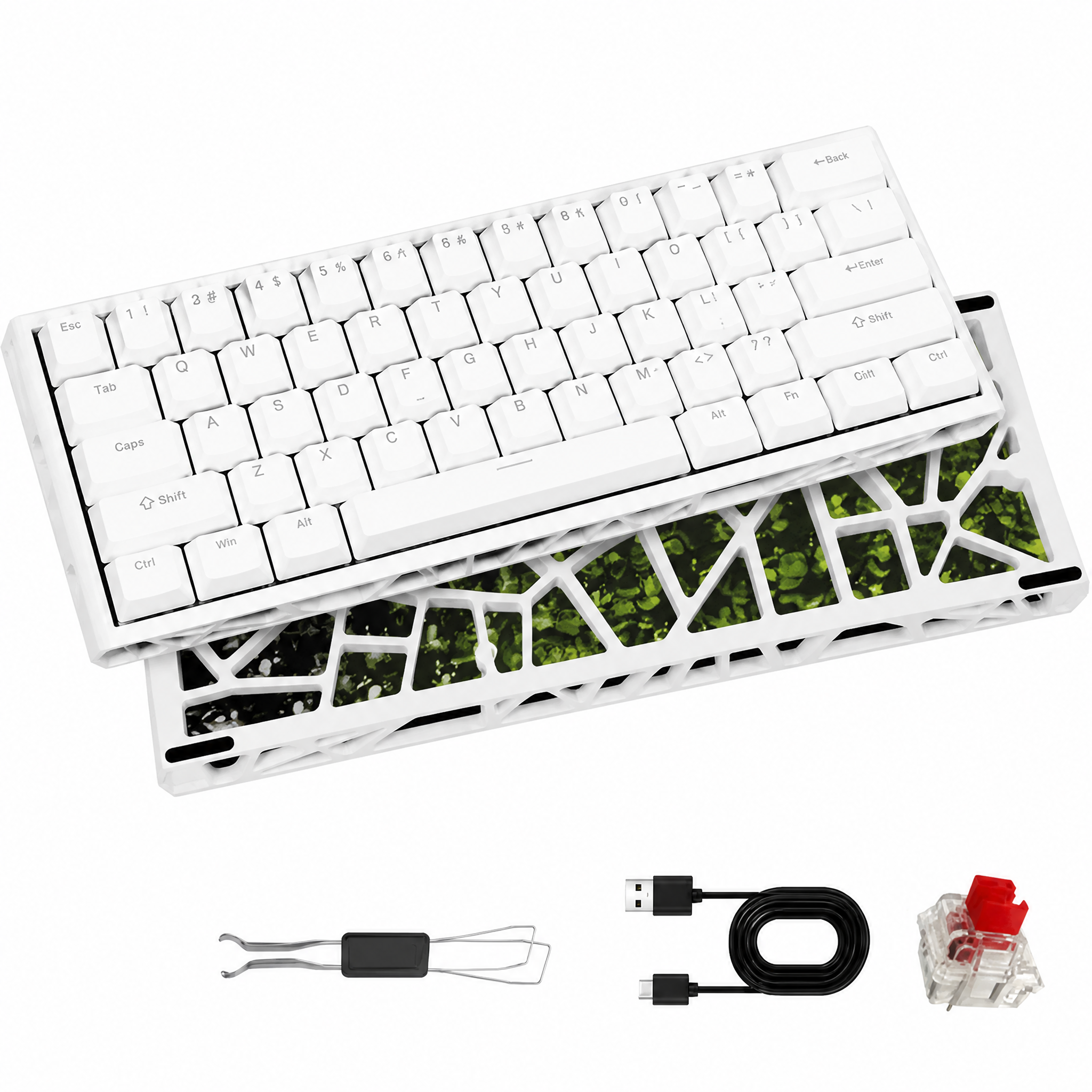 AsterOutdoor 61-Key Mechanical Gaming Keyboard RGB Backlit photo 1
