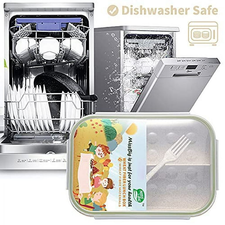 Bento Box for Kids Ideal Leak Proof Lunch Box Mom’s Choice No BPA No  Chemical Dyes Microwave and Dishwasher Safe Lunch Container