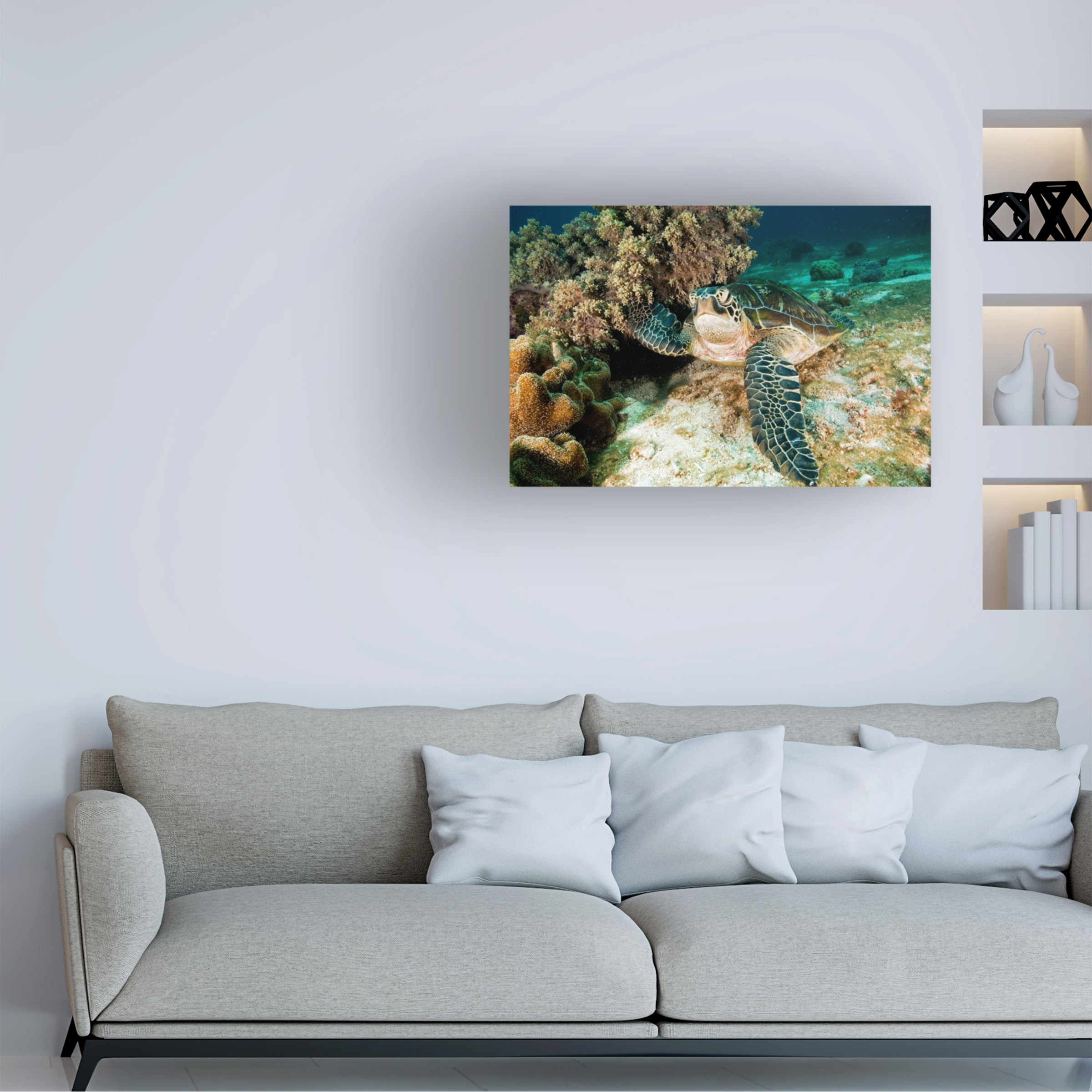 Ilan Ben Tov 'Sea Turtle' Canvas Art