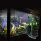 thumbnail image 4 of Filtro De Esponja Biológica Dual, Filtro De Esponja Para Acuario, Ventosa Fuerte, Salida De Agua Silenciosa De 360 ​​​​grados Para Acuario, 4 of 7
