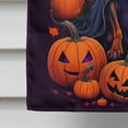 thumbnail image 4 of Miniature Pinscher Witchy Halloween House Flag 28 in x 40 in, 4 of 7
