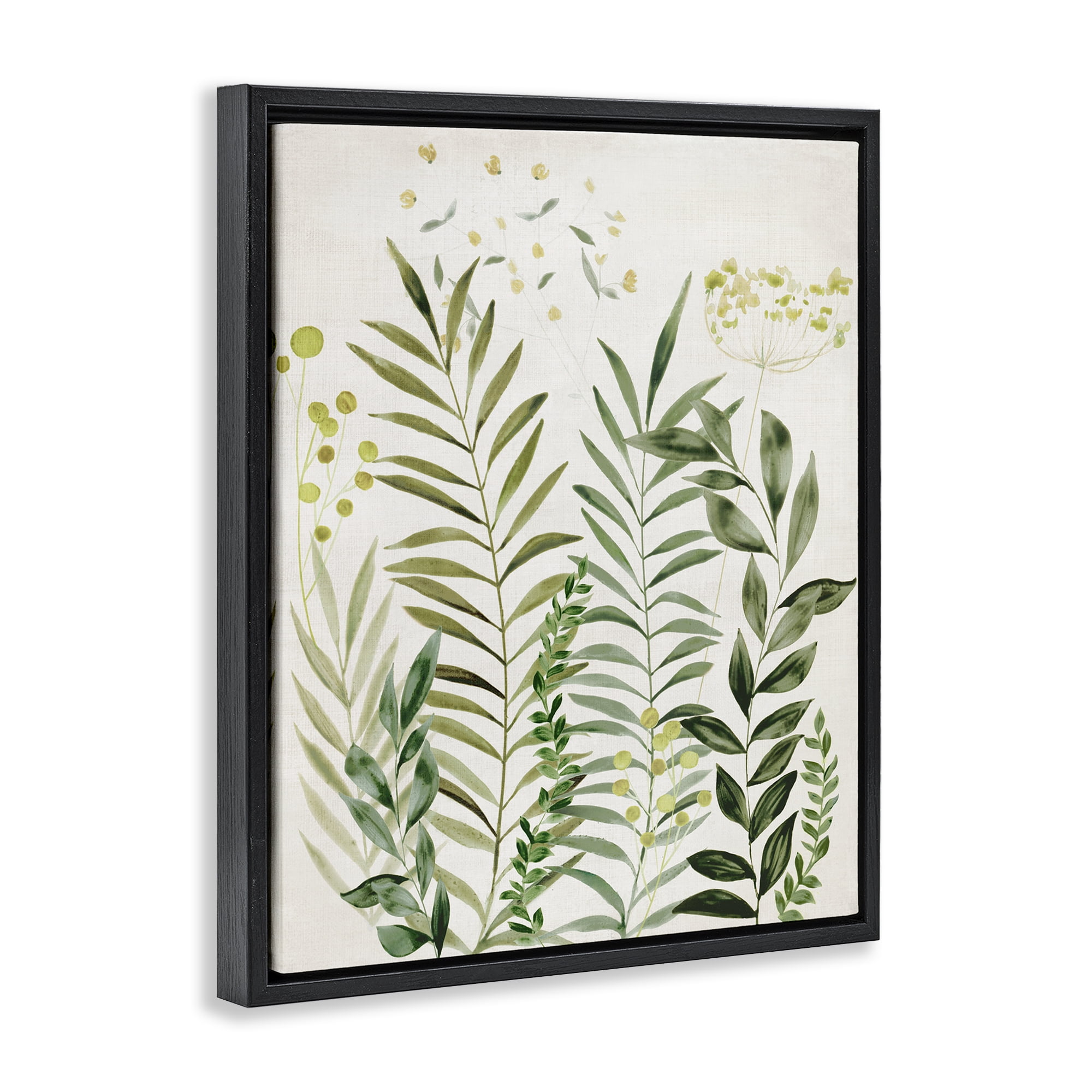 Stupell Industries Delicate Herbs & Leaves Plants & Flowers Painting Black Floater Framed Canvas Art Print Wall Art, 17 x 21