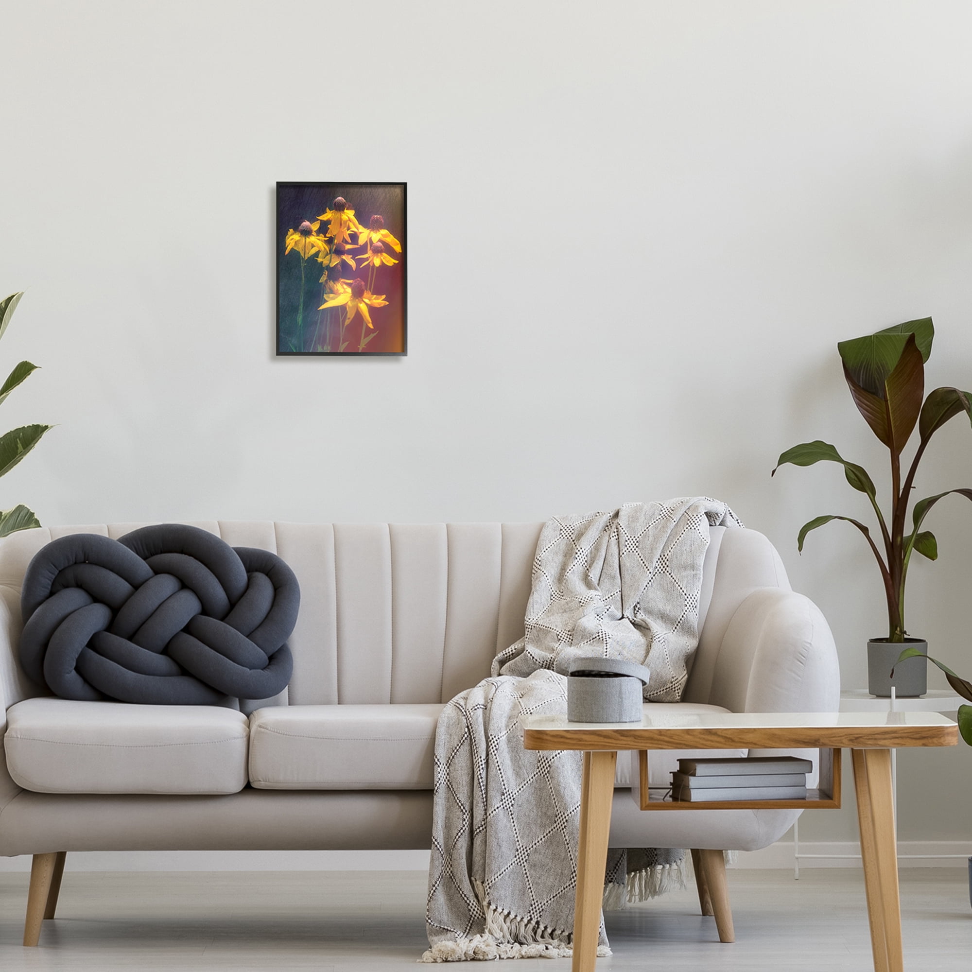 Stupell Industries Black-Eyed Susan Photography Botanical & Floral Photography Black Framed Art Print Wall Art, 11 x 14