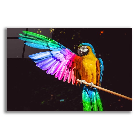 Epic Art 'Hitchhiker' by Epic Portfolio, Acrylic Glass Wall Art, 24"x16"