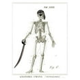 thumbnail image 2 of Schlabach, Sue 15x18 Black Ornate Wood Framed with Double Matting Museum Art Print Titled - Dandy Bones Pirate, 2 of 4