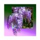 thumbnail image 2 of Cuadros Decorativos Kit de pintura de diamantes 5D Flores de bricolaje Arte de mosaico de diamantes cuadrados completos Tmvgtek embutido en tela, 2 of 6