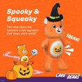 thumbnail image 3 of Care Bear for Pets Halloween 9" Bear Plush Squeaker Pet Toy Pumpkin Belly and Witch Hat| Soft Care Bears Squeaky Dog Toy | Halloween Toys for All Dogs, Official Dog Toy (FF20836), 3 of 3
