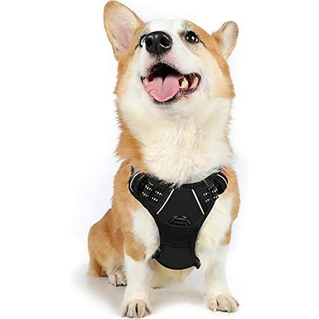 rabbitgoo Dog Harness No-Pull Pet Harness with 2 Leash Clips Adjustable Soft Padded Dog Vest Reflective No-Choke Pet Oxford Vest with Easy Control Handle for Large Dogs Orange L