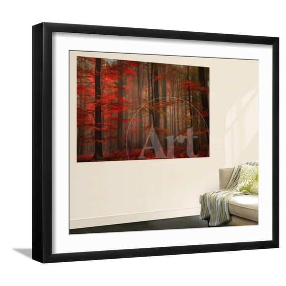 Enchanting Red, Framed Art Print Wall Art by Philippe SainteLaudy Sold by Art.Com