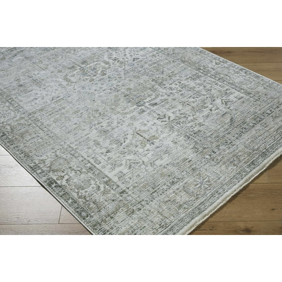 Boutique Rugs Allaun Traditional Area Rug - Light Gray, Medium Gray, Charcoal - 2' x 2'11"