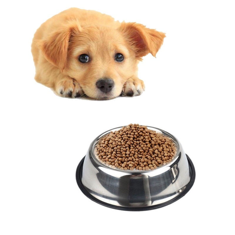 dog high feeder