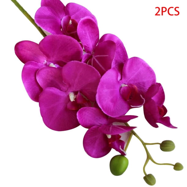 Silk Phalaenopsis Orchids | Fake Orchids | Nearly Natural Silk Phalaenopsis Orchids | Fake Orchids | Nearly Natural