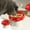 Red, variant on Nebwoak Ceramic Elevated Pet Food Bowl with Non-Slip Base, Ergonomic Tilt for Neck Support, Mushroom Design Wide Mouth Feeder for Cats & Small Dogs