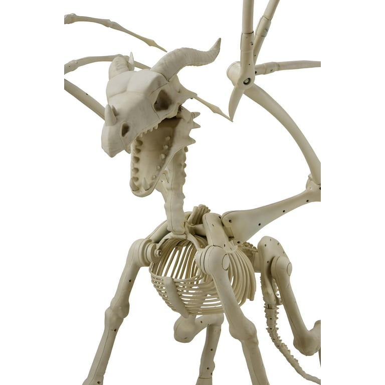 Fun Express 36 Dragon Skeleton Halloween Decoration