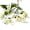 White, variant on 1 Pair Outdoor Artificial Autumn Flowers | Fake Fall Decorations - No Fade, Faux Plastic for Garden, Porch, and Window Box Decor
