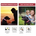 thumbnail image 3 of MASBRILL Flashing Light LED Dog Collars Waterproof with Rechargeable Adjustable Glowing Flash Dog Collar Night Safety Light up Dog Collar for Small/Medium/Large Dog Collar Red-S, 3 of 7