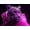 Black, variant on Mudket Leopard on Hot Pink Sofa with Disco Balls Canvas Wall Art, Trendy Glam Party Wall Prints Waterproof Canvas for Living Room Apartment Home Decor , Framed Ready to Hang - 36"L x 24"W