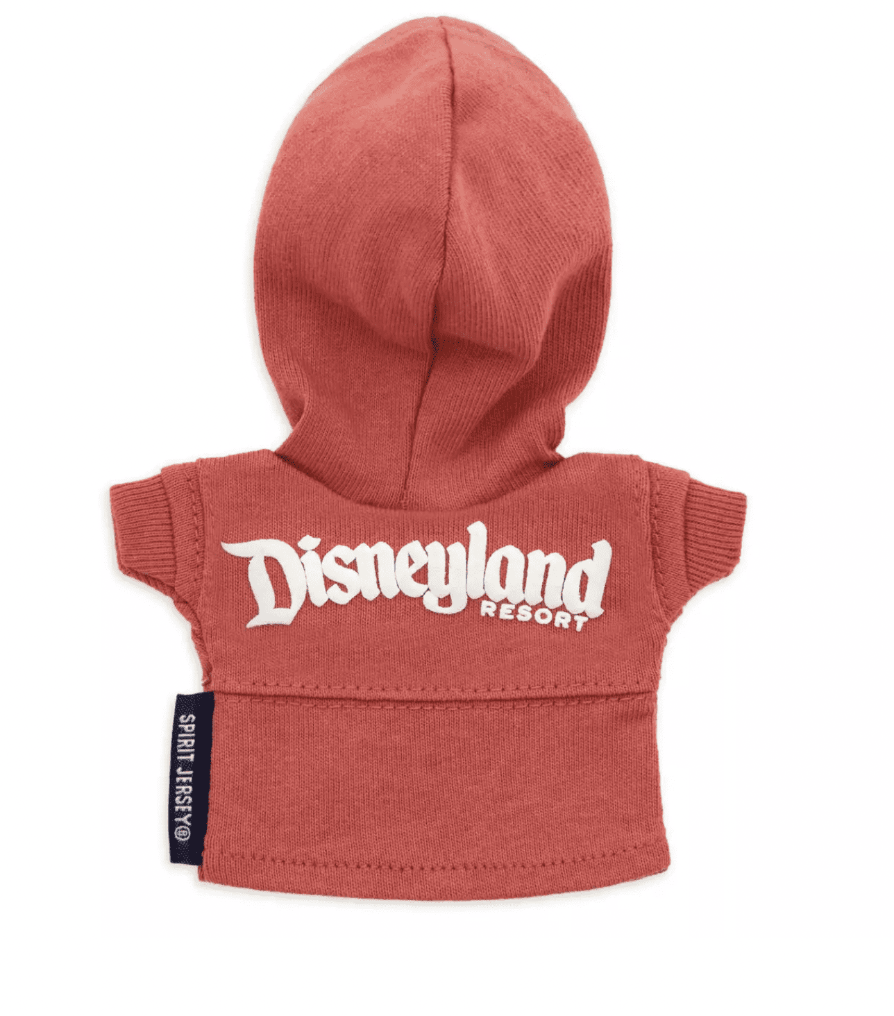 Disney NuiMOs Outfit Disneyland Resort Spirit Jersey Hoodie New with Card Walmart