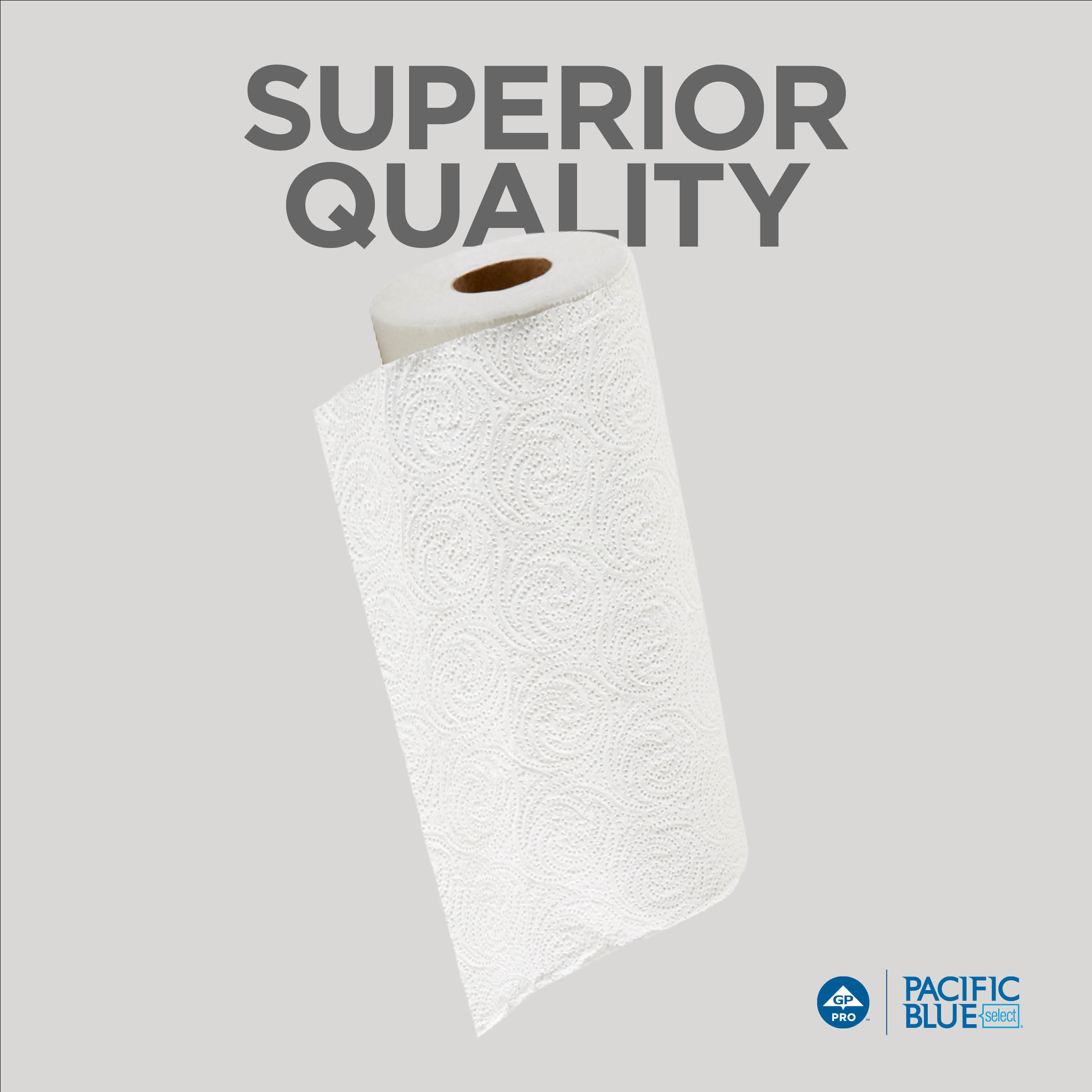Georgia-Pacific Professional Blue Select 2-Ply Perforated Roll Paper Towels, White, 100 Sheets/Roll, 30 Rolls/Case, GP PRO 27300