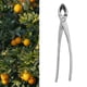 thumbnail image 4 of Cortador de ramas cóncavas de bonsái NikouMX herramientas de jardinería doméstica color plateado, 4 of 8