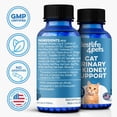 thumbnail image 6 of BestLife4Pets Cat UTI, Kidney & Bladder Support - Natural Supplement for Cats Renal Health and Bladder Control - 400 Pills, 6 of 16