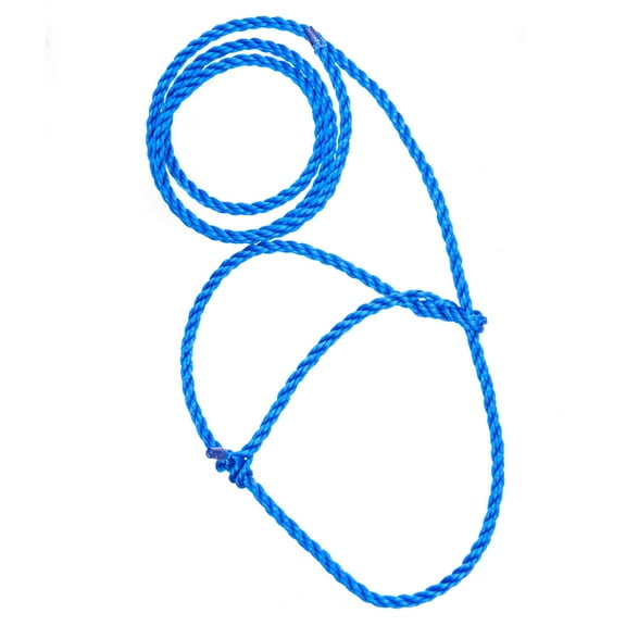Poly Calf Halter Color: Blue