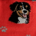 thumbnail image 2 of Bernese Mountain Dog Breed Socks Unisex Sock Daddy by E&S Pets, 2 of 3