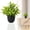 F, variant on HmNPlay Artificial Potted Plants for Home Decor, Small Artificial Greenery Silk Plants in Pot for Indoor Tabletop Desk Office Decor, Fake Plants for Housewarming Gift House Decor