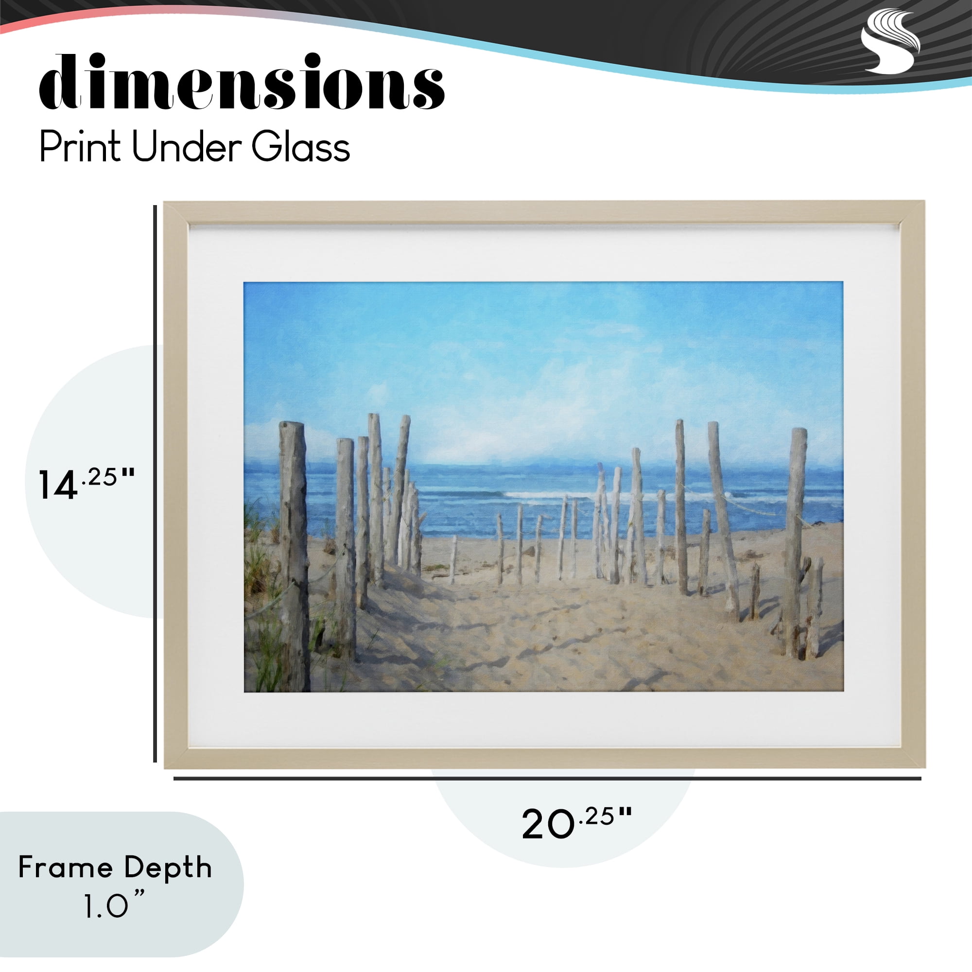 Stupell Industries National Seashore Vista Birch Framed Print Under Glass, design by Grotto Studios