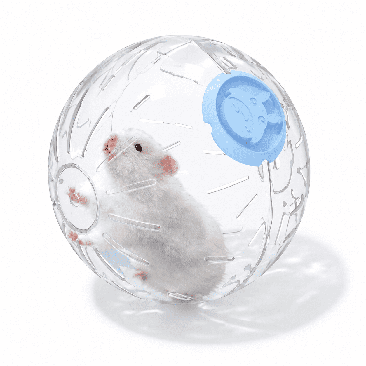 7.9 Inch Blue Plastic Hamster Exercise Ball for Small and Medium Syrian Hamsters