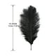 thumbnail image 3 of Plumas Esponjosas 10 Plumas De Avestruz Esponjosas Para Fiestas De Bodas, Plumas De 15 A 20 Cm (Negro), 3 of 4
