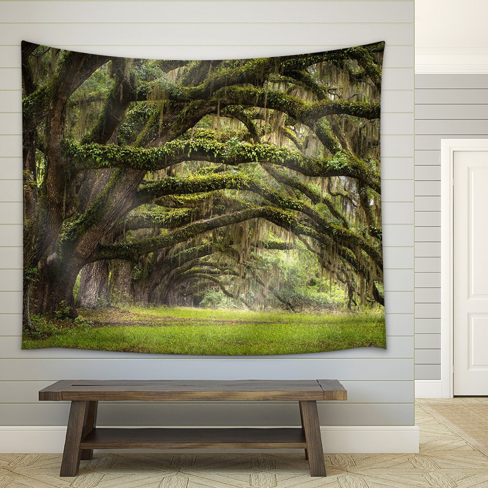 Wall26 Oaks Avenue Charleston Sc Plantation Live Oak Trees