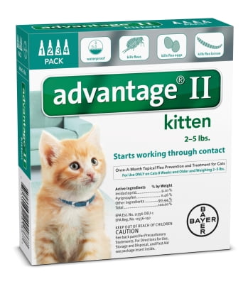 Pets Go Here - Pet Store on Walmart Seller Reviews ...