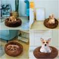 thumbnail image 5 of Dww-panier Rond Chien Coussin Chat Panier Donut, Panier Chien Lit Pour Chat Chien Extra-doux Confortable Et Mignon, Coussin Pour Chats Et Petits Chien, 5 of 5