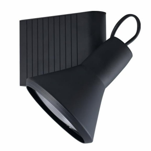 120V Classic Series Metal Halide Track Light 70W for PAR38 - Black